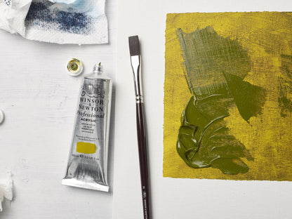 Professional Acrylic Colour 60ml Tube