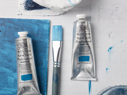Professional Acrylic Colour 60ml Tube
