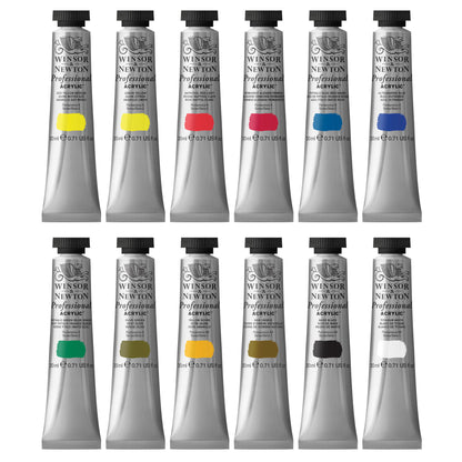 Professional Acrylic Tube Set 12x20ml