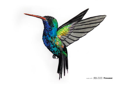 Winsor & Newton Promarker 24 Arts & Illustration